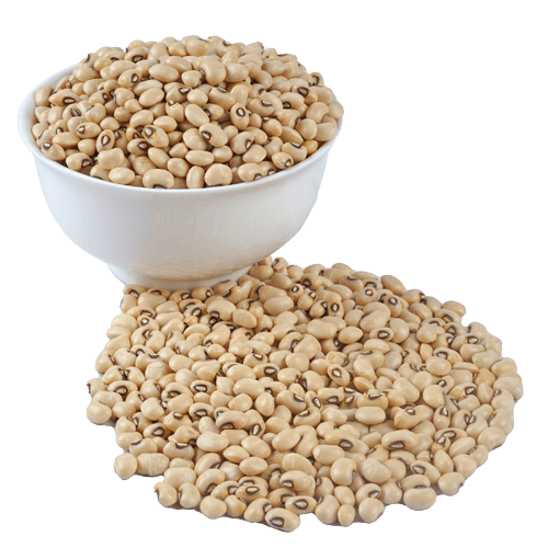 Lobia